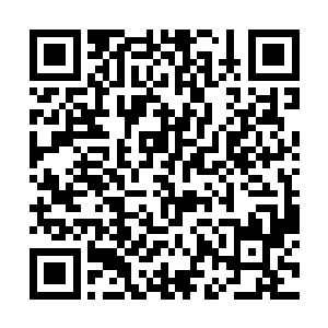 程兆儿也有意无意的和她提过不少关于朱惠惠的好话二维码生成