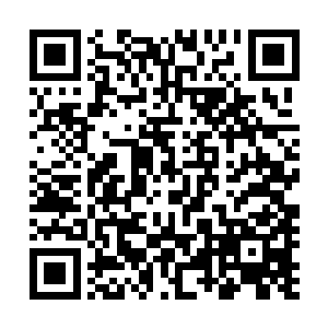 程兆儿依稀秦远航上次以玩笑的口吻偶然说到他侄儿秦静石二维码生成