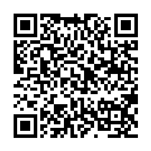 程家四长老终于明白对方只是二劫真神就能够成为一级客卿二维码生成