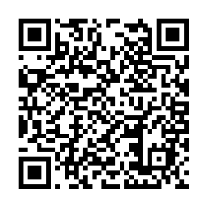 稍微注意就能分辨那可不是什么粉丝手中的荧光棒二维码生成