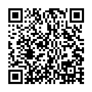稍微肉疼了一阵的苗毅又看向了云知秋手中的玲珑宝塔二维码生成