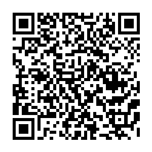 稍微识货的就知道这看起来并不珠光宝气的手表却价格动不动数十上百万二维码生成