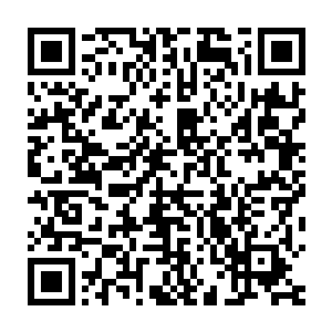 稳操胜券的八长老手指已经扯住苏落颈项间那根粗大的青色血管了二维码生成