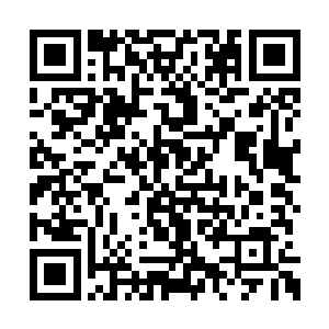 穆扬灵一到大殿外看到的就是这样一幅其乐融融二维码生成