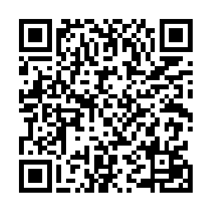 穆扬灵进山打兔子的事不就是胡老汉发现并传扬出去的吗二维码生成