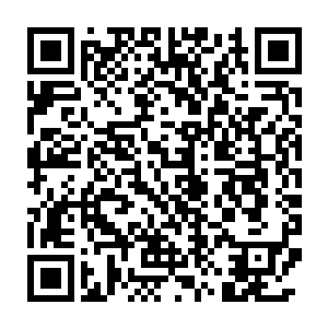 穆根也被纳什基尔大人任命为第一秘书兼紫阳花星系的首席执政官二维码生成