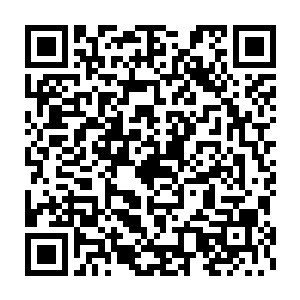 穆根于是把手上剩下的一点药油全部揉到那只小白鸟的翅膀根上了二维码生成