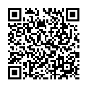穆根的对手在穆根面前展示了机甲初级格斗术的全部姿势二维码生成