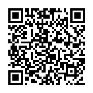 穆根的联络方式和照片一起发到了他们的智脑中二维码生成