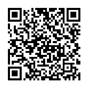 穆根需要知道的就是这些智脑系统各自分配到的任务二维码生成