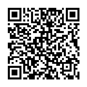 穴道之中的青龙化成一团清影立刻布满了整个右手臂二维码生成