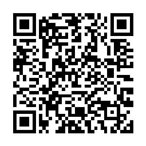 究其原因除了各地还算风调雨顺外就是因为粮食高产二维码生成