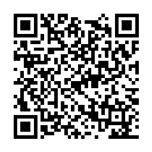 究竟是什么样的东西值得他发心魔誓才能得以一看二维码生成