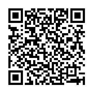 究竟是什么样的基因力量可以让王铮强大到如此的地步二维码生成