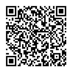 究竟是盘古文明全面投降还是李耀又一次养虎为患……一切都是未知数二维码生成