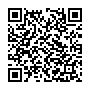 究竟要不要继续拿着那件事情向剑尘讨要一个交代二维码生成