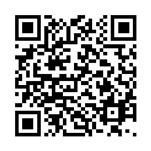 空中仿佛爆开了数个牛皮裹着的血袋二维码生成