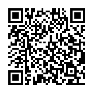 空中传来的危险气息让着所有人的眉头都是不自觉的皱了皱二维码生成