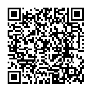 空中那死灵变成了云朵虽然在苦烟和战杰的法术轰击下放缓了延展了速度二维码生成
