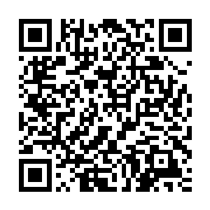 空姐的眼神明显有些不太信任――陈小练看上去年纪实在太小了二维码生成