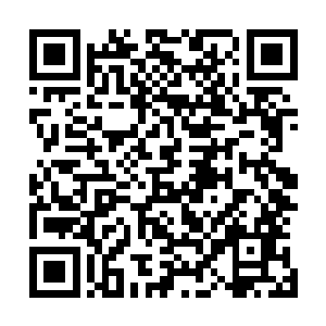 空气中竟然还有符神和符魔气息的两种混合相融的符咒能量二维码生成