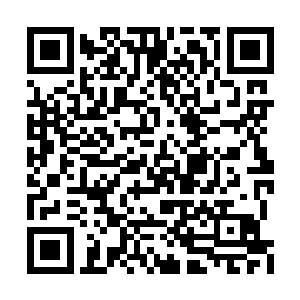 穿在司凛的身上……居然穿出了国际超模的感觉二维码生成