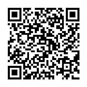 穿着比基尼的玛丽娜和苏菲亚同样一脸惬意地躺在躺椅上二维码生成