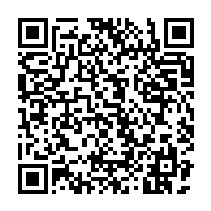 穿着赤红色袍服的老者和另一名相貌极其普通的青袍中年修士为首二维码生成