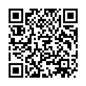 穿过光幕后印入眼帘的是一片古老的森林二维码生成