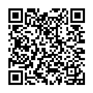 穿过龙且施下的雾气结界中的无数呆呆站立的血族尸兄二维码生成