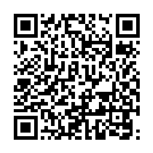 突如其来的炸响声让世华的动作稍稍停顿了一瞬间二维码生成