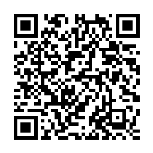 突如其来的爆响声惊扰了正坐在凉亭中下棋的国王陛下和叶明二维码生成