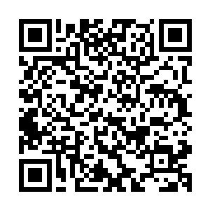 突如其来的莫名敌人也让原来被香味影响的三只妖兽警觉起来二维码生成
