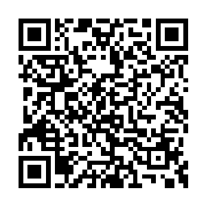 突然一个小洛莉扛着一个巨大的包袱挤进了病房二维码生成