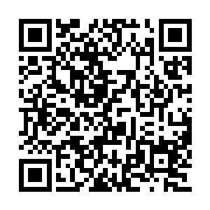 突然两片密林中分别有大批白莲教高手冲杀而出二维码生成