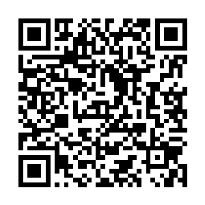 突然之间感觉自己还是太天真了……当她看到公司门口二维码生成