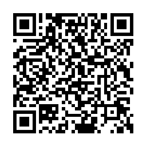 突然发现那堆符纸中有一个巴掌大小的白玉盒子二维码生成