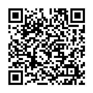 突然发现那幅温养多年的仙人图谱竟是给那孩子轻松拽走了二维码生成