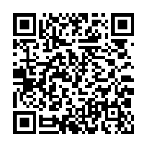 突然听到从首领屋子里传来的一声声尖叫和惨叫二维码生成