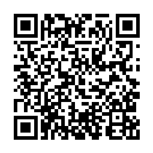 突然提出来赠与两个长相娇美的小丫头给闻朝磊二维码生成