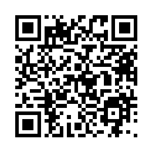 突然是从路边的景观树上掉落了下来二维码生成