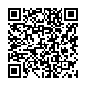 突然看到院子一角放垃圾的那个桶旁边堆了很多的食物二维码生成