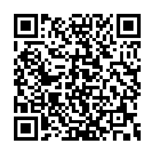 突然被一名年纪约三十来岁的武者给拦截了下来二维码生成