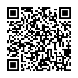 窦歆一把揪住豆豆的耳朵……这小孩子真是太不懂事儿了二维码生成