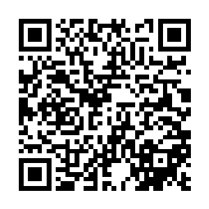 立刻士气冲天嗷嗷叫着的带着友军抓捕这些黑衣人二维码生成