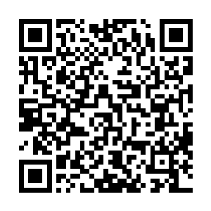 立刻就有一个叫做张龙威的大胖子笑着拿着一杯酒上前道二维码生成