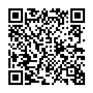 立刻就有个小伙子从里面跑出来帮她拉上院子的围栏门二维码生成