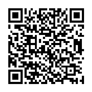 立刻就有几名特勤人员上前开始给周元海套上拘束衣和头套二维码生成