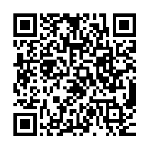 立刻就看到了一个大家伙张开血盆大口直接朝着前面冲了过去二维码生成