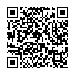 立刻就看到林子里几个护卫不知从哪里窜了出来二维码生成